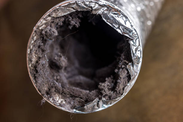 Best Home Air Vent Cleaning  in Bargaintown, NJ