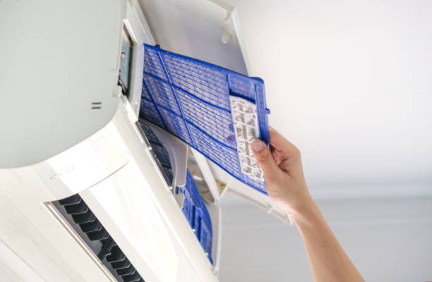Air Duct Mold Removal in Bargaintown, NJ
