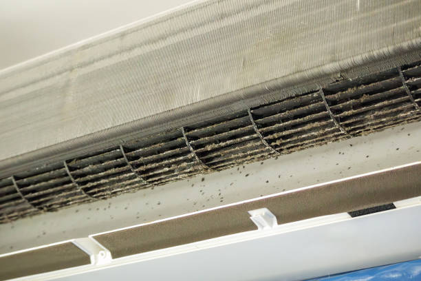Best Commercial Air Duct Cleaning  in Bargaintown, NJ