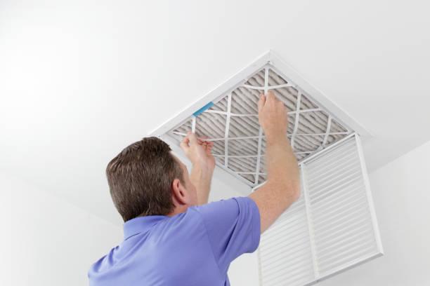 Best Affordable Duct Cleaning Services  in Bargaintown, NJ